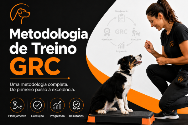 curso de treino canino online
