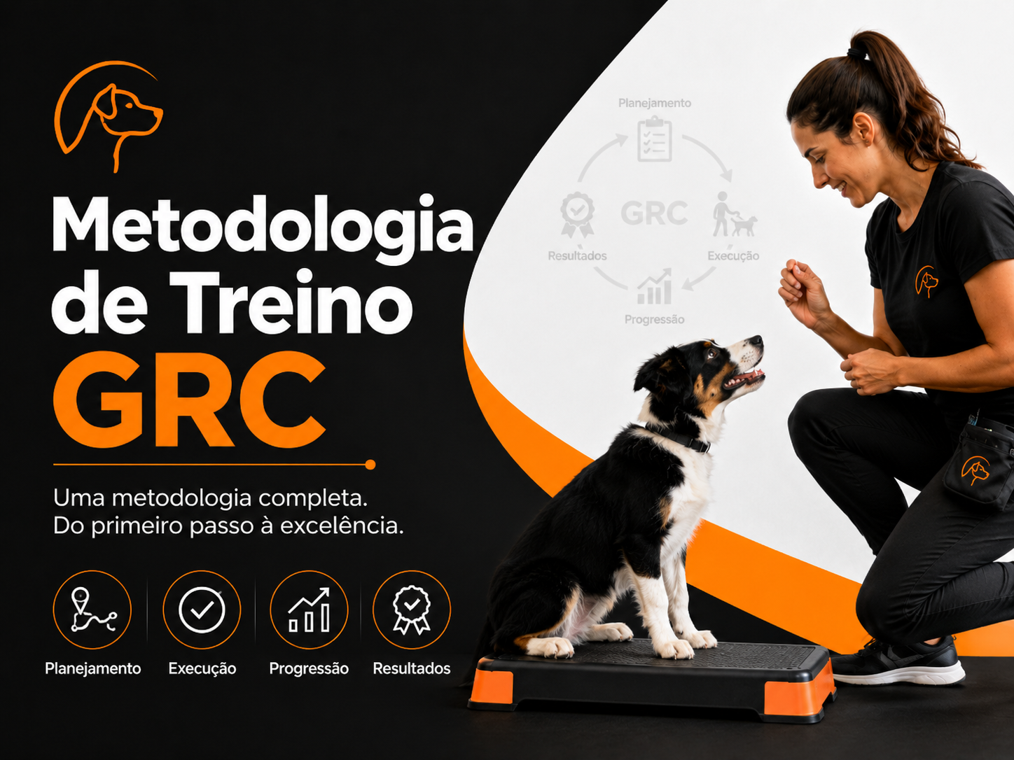 A chegada a casa do cachorro