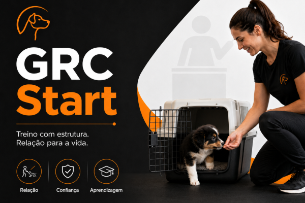 treino de cães online