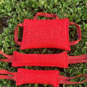 Mordedor para cão resistente