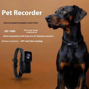 Pet Recorder – Coleira com Câmara para Animais