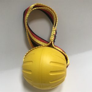 Bola para cães com corda