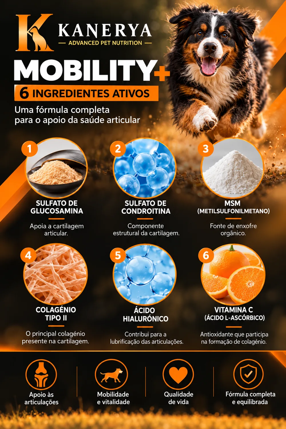 Kanerya Mobility+ ingredientes ativos