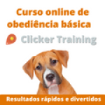 curso_online